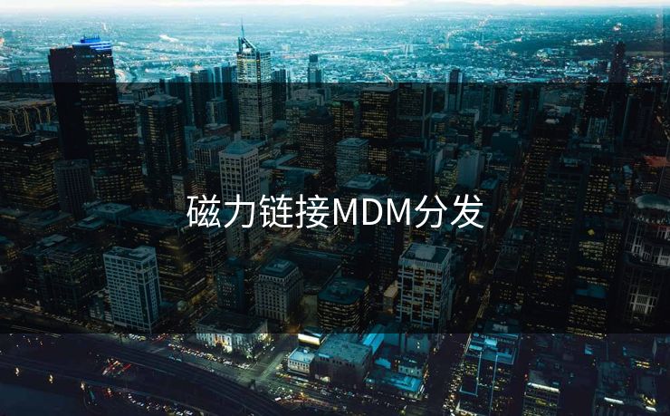 磁力链接MDM分发