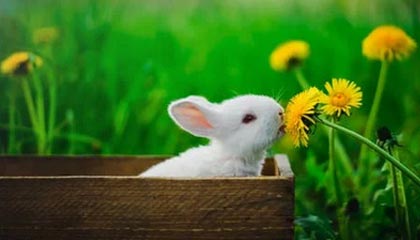 意外!尘封资料让人破防,结局没人想到,尘封档案是真的吗?