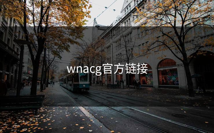wnacg官方链接